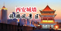 黄色抠逼网站中国陕西-西安城墙旅游风景区